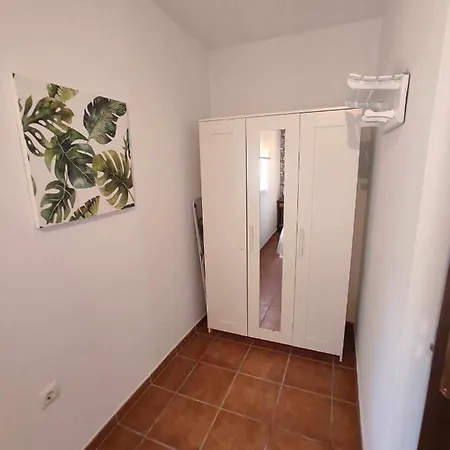La Rana *